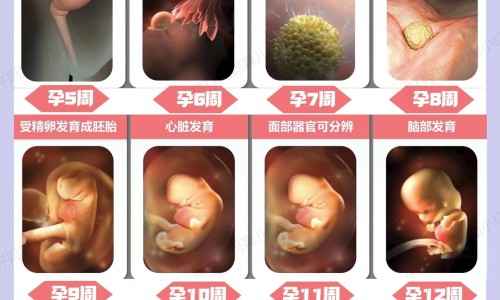 吃了男宝胶囊能喝酒吗有事吗-权威吃男宝胶囊几天了下面没反应平台,分享专业吃了男宝胶囊能喝酒吗女性知识_吃了男宝胶囊能喝酒吗网